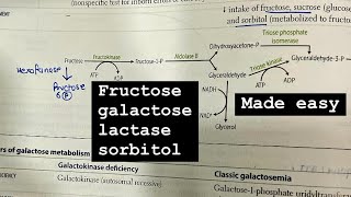 Fructosegalactoselactasesorbitol metabolism made easy hindi  first aid BIOCHEM SERIES [upl. by Alaunnoif832]