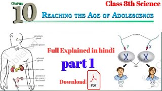 Reaching The Age of Adolescence  Class 8 Science Chapter 10  full chapter  part 1 [upl. by Joe21]