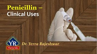 Penicillin  Clinical Uses  Clinical uses of Penicillins  YR Pharma Tube  Dr Yerra Rajeshwar [upl. by Champagne]