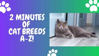 Cat Breeds A to Z in 2 Minutes 🐱 [upl. by Akienat]