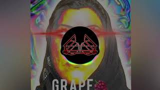 Great Grape  Pakistani meme Remix To sacrifice my own life for Pakistan [upl. by Seuqcaj]