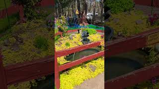 🆒 flower gardenHayward KOA campground newnature campingflowersyoutube trendingsubscribe [upl. by Germano]