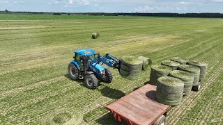 CANADIAN FARMER  INVASION LEAFHOPPERS blew in from down south No time to waste Harvest quickly [upl. by Ahk]