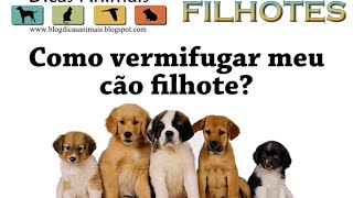 COMO VERMIFUGAR OS CÃES FILHOTES [upl. by Parhe]