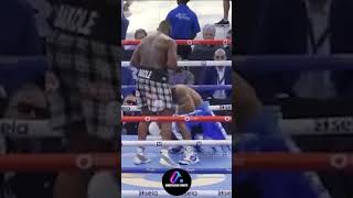 Jared Anderson vs Martin Bakole  Knockout Highlights shorts [upl. by Myrvyn]