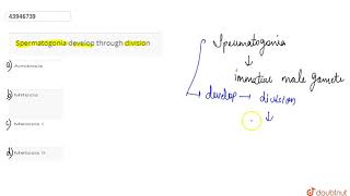 Spermatogonia develop through division [upl. by Petey743]