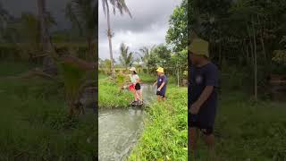 Feeding Ng mga isda shortvideo farming buhayfarmer provincelife shortsviral short [upl. by Worl]