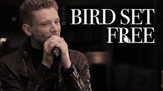 Aidan Martin  Bird Set Free  Sia  Cover [upl. by Rauscher]