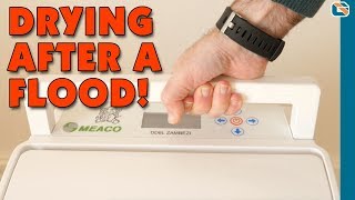 Meaco Came to the Rescue with the DD8L Zambezi Dehumidifier [upl. by Hermon]