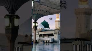 Dar e Nabia par islmic status naat beautiful voice [upl. by Baptist350]