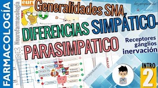 DIFERENCIAS entre sistema SIMPÁTICO Y PARASIMPÁTICO Aplicación clínicaNEUROFARMACOLOGÍA INTRO P2 [upl. by Adlei]