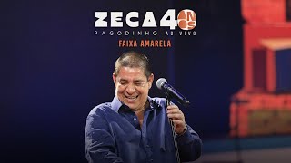 Zeca Pagodinho 40 anos Ao Vivo  “Faixa amarela” CLIPE OFICIAL [upl. by Tihw]