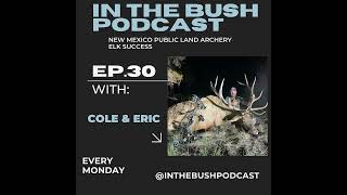 New Mexico Public Land Archery Elk Success [upl. by Drews505]