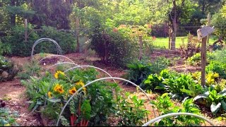 Adding 10000 Fish to the 5 Acre Pond [upl. by Tabor]