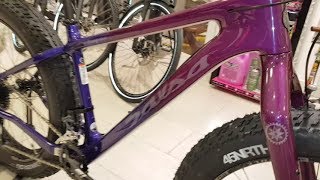 Salsa Beargrease Carbon X7 purpleblue Carbon Fatbike Modell 2018 [upl. by Meade]