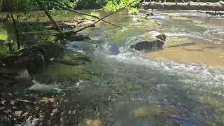 Appalachian Mountain Stream 30 Minutes [upl. by Pitt245]