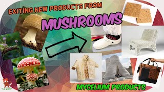 The mind blowing future business behind mushroom  mycelium [upl. by Henke923]