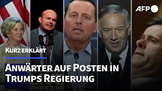 Kurz erklärt Das sind die Anwärter auf Posten in Trumps Regierung  AFP [upl. by Florette]