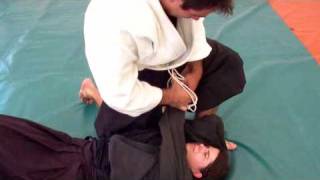 Ogawa Ryu JUJUTSU TORITE HACHIHON ME  SEITEIGATA [upl. by Sparky]