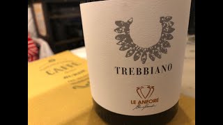 Trebbiano Igt Toscana 2019 Le Anfore Elena Casadei [upl. by Wenonah]