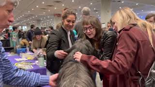 Skye Terrier Booth  2023 AKC Meet the Breeds [upl. by Oicangi]