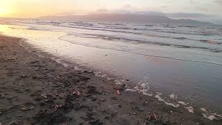 new zealandsunsetwaikanae beachkapitiisland‎kapcoastsunsetcliviaseascapes [upl. by Enelhtac]