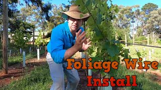 Installing Foliage Wires in a Vineyard and Tensioning Short Rows [upl. by Laynad628]