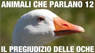 ANIMALI CHE PARLANO – Il pregiudizio delle oche [upl. by Randa68]