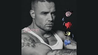 Liam Payne  Teardrops Instrumental [upl. by Stover220]