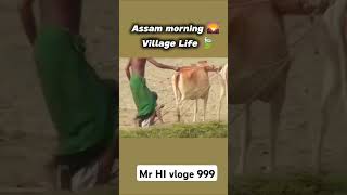 Assam Morning village life minitravelvlog minivlog travel shorts assam Mr HI vloge 999 [upl. by Assertal]