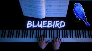 Bluebird Piano Cover  Alexis Ffrench [upl. by Queridas]