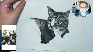 Drawing a Cat Subscribers Pet Portrait [upl. by Faunia]