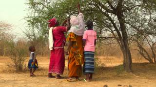 Green Treasure of the Sahel [upl. by Melantha847]