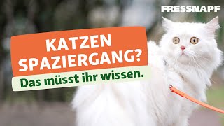 Katze Gassi gehen  Katzentraining  FRESSNAPF [upl. by Norat]