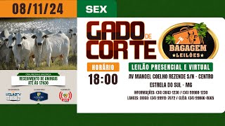 🐂 LEILÃO DE GADO DE CORTE  BAGAGEM LEILÕES  08112024 🐂 [upl. by Courcy]