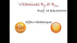 FOLATES ET VITAMINE B12 PARTIE3 [upl. by Grati927]