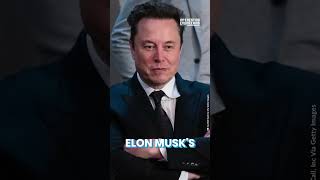 Elon Musk and the Government Efficiency Commission [upl. by Ande473]