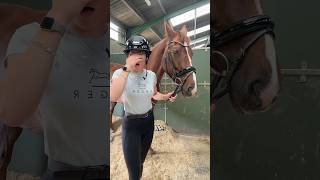 Always when someone’s watching 🤣 horse equestrian explore youtubeshorts trending subscribe [upl. by Nehemiah]