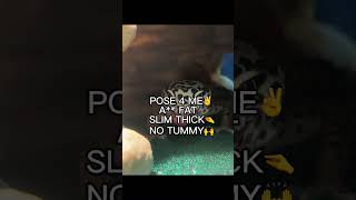 Baddies GAMEBO gecko leopardgecko fyp funny shots YouTube capcut reptiles gamebothegecko [upl. by Sanoj]