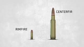 Ammo Basics Rimfire Versus Centerfire [upl. by Nnaear]