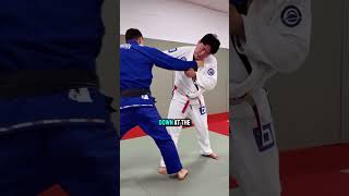 ASHI WAZA tutorial  JUDO [upl. by Icart751]