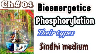 Bioenergetics class 11th Introduction [upl. by Loseff761]