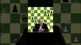 Garry Kasparov brilliancy 👑 [upl. by Travax643]