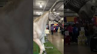 Equine affaire 2024 vlog  🛢️JLRbarrelracing🛢️ [upl. by Noisla]