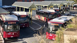 BUS A ROMA PARTE 3  Subappalti  Bus Spotting in Rome [upl. by Eglanteen]