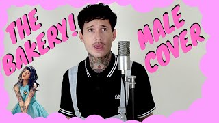 Melanie Martinez  The Bakery MALE COVER [upl. by Olgnaed639]