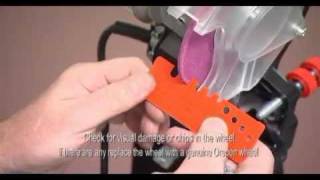 How to Sharpen Chain Saw Chains Oregon Chainsaw Sharpening Guide [upl. by Marja453]