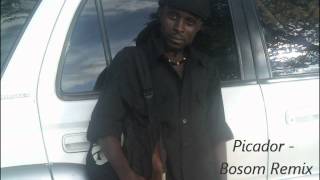 Picador  Bosom Remix Liberian Music [upl. by Deeann]