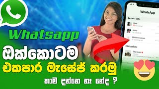 How to Send WhatsApp Message to All Contacts once  Sinhala Amila Net [upl. by Anahsahs457]