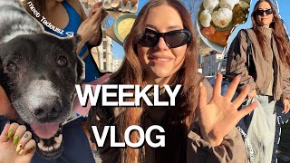 WEEKLY VLOG  nowy członek rodziny👶  wybór szkliwa na kubki 🍵  testy auta  dużo piesów 🐕 [upl. by Karl]